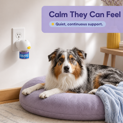 SeraPup Calm Cloud Pheromone Diffuser