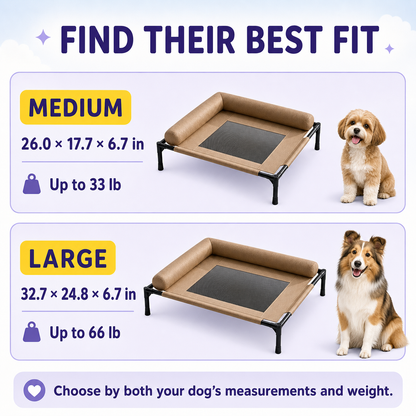 SeraPup Elevated Dog Bed
