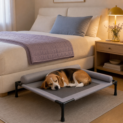 SeraPup Elevated Dog Bed